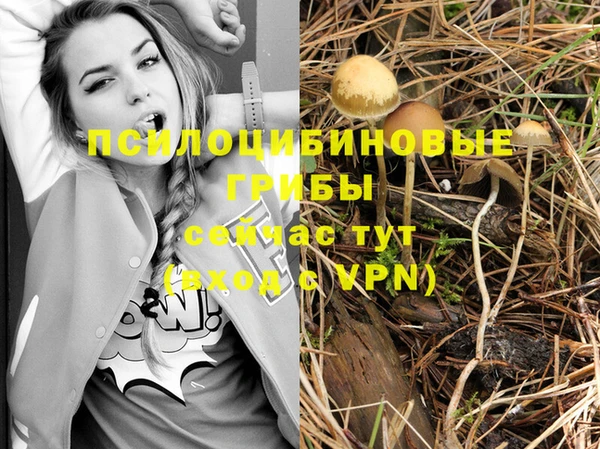 мескалин Бородино