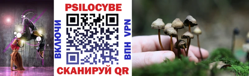 hydra ONION  Димитровград  Псилоцибиновые грибы Magic Shrooms 
