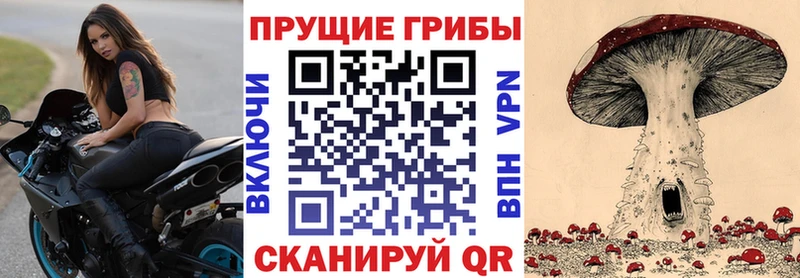 Галлюциногенные грибы мухоморы Димитровград