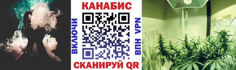 Каннабис индика  Димитровград 